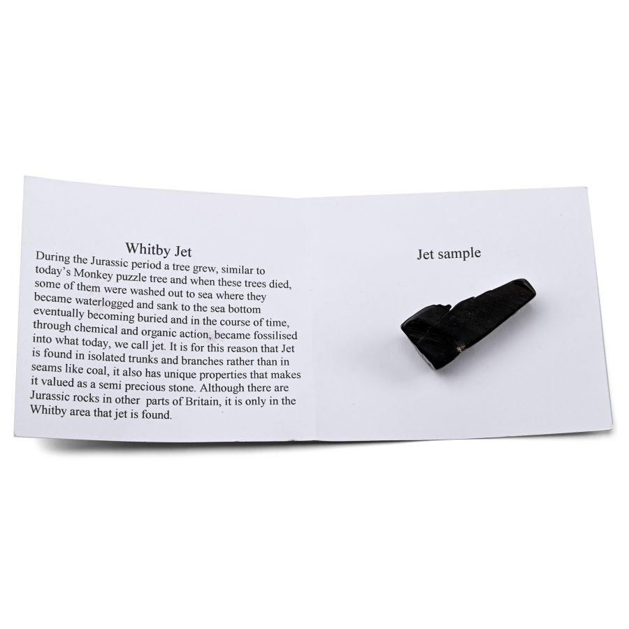 Whitby Jet Sample with Printed Information Card