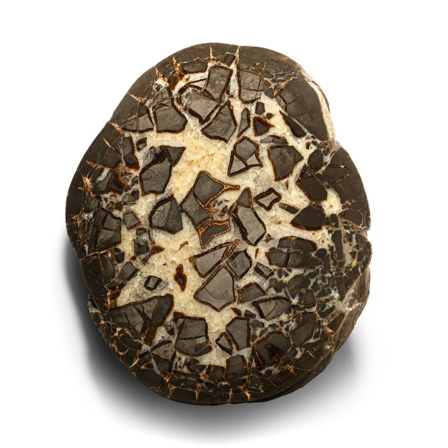 Extremely Large Cut and Polished 'Septarian Egg' Half