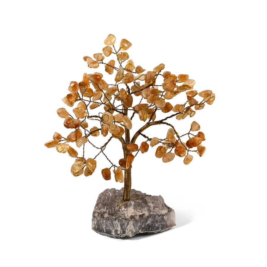 Citrine Gem Tree on Amethyst Crystal Geode Section