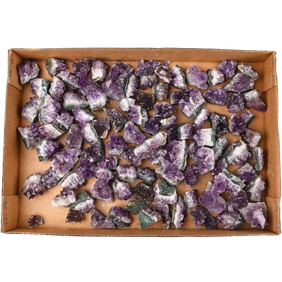 Group of One Hundred [100] Amethyst Crystal Geode Sections