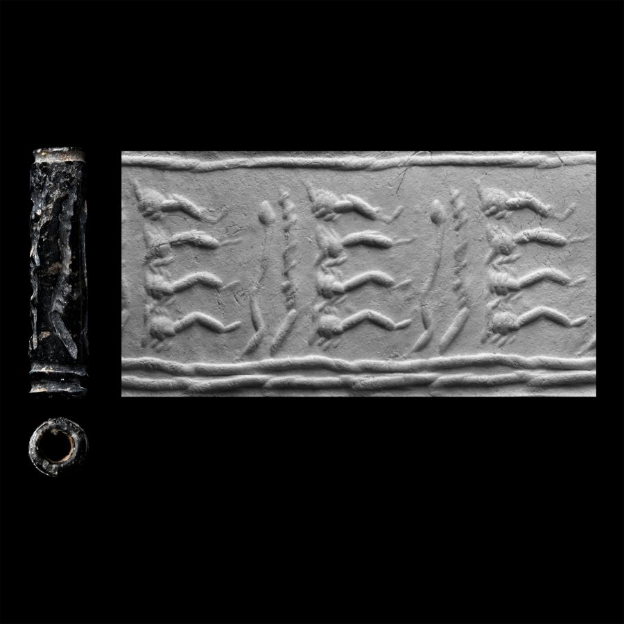Western Asiatic Black Stone Cylinder Seal with Insects