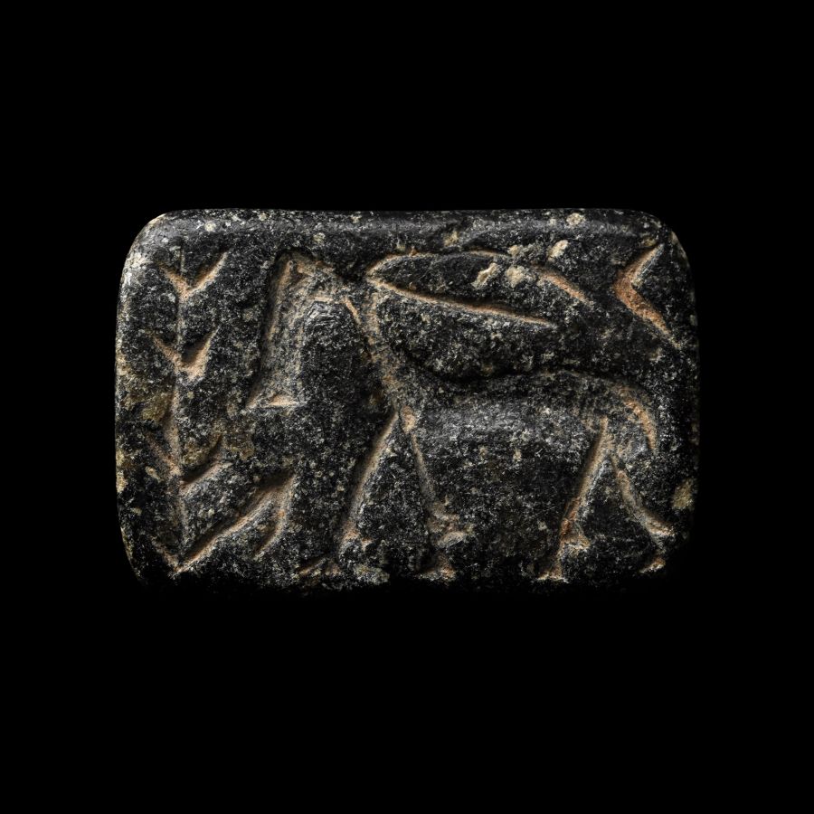 Large Western Asiatic Black Stone Stamp Seal with Animal