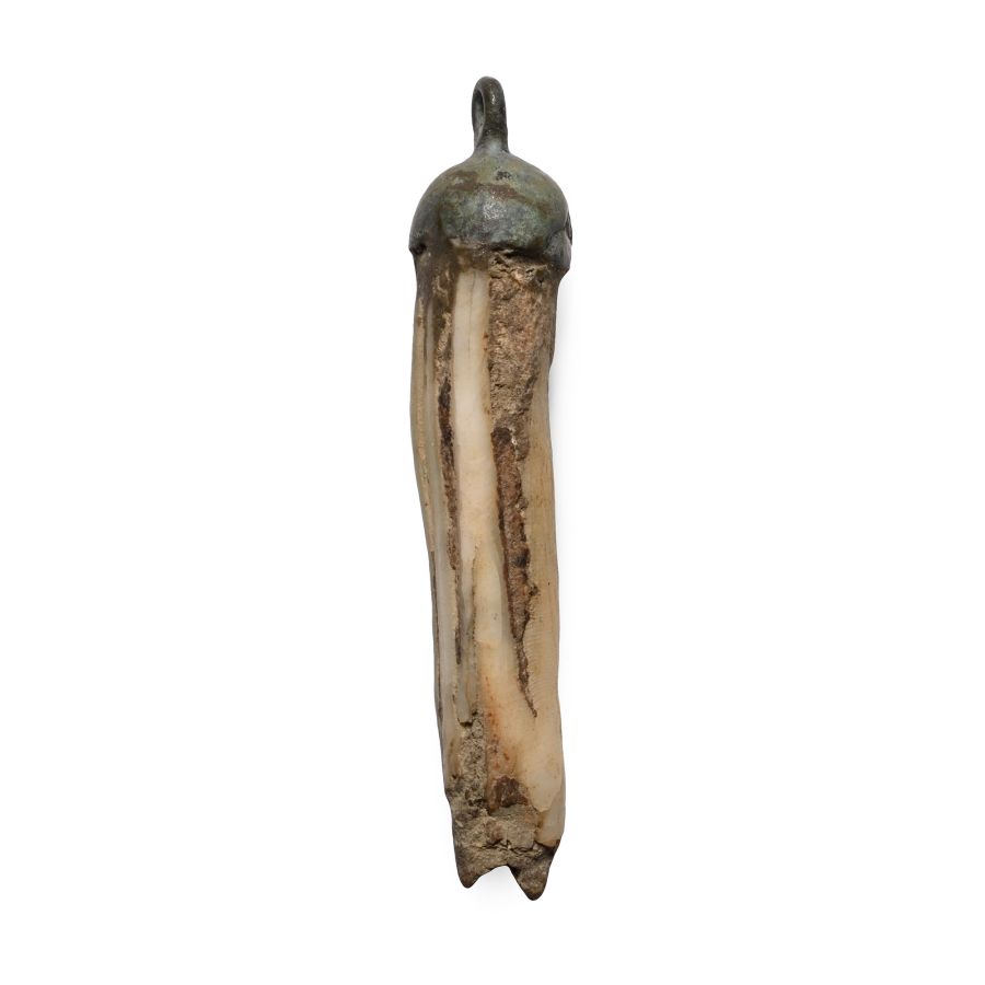 Viking Age Tooth Pendant