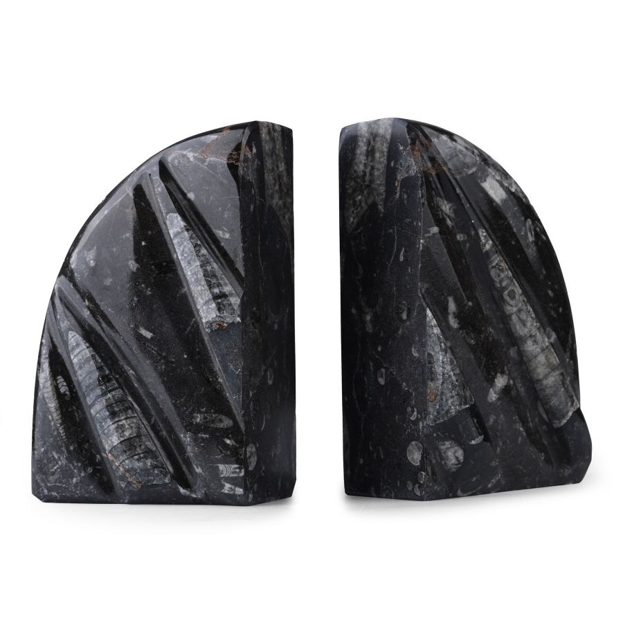 Polished Fossil Orthoceras Book End Pair