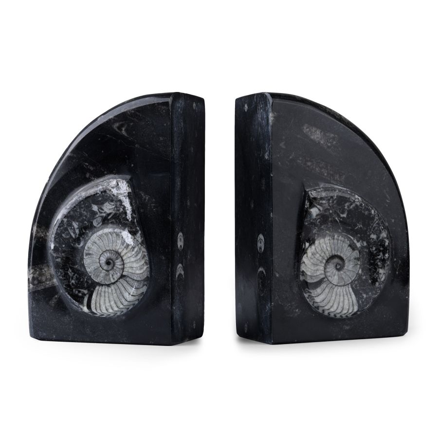 Polished Fossil Book End Pair