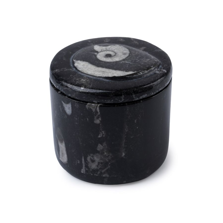 Polished Fossil Goniatite Lidded Pot