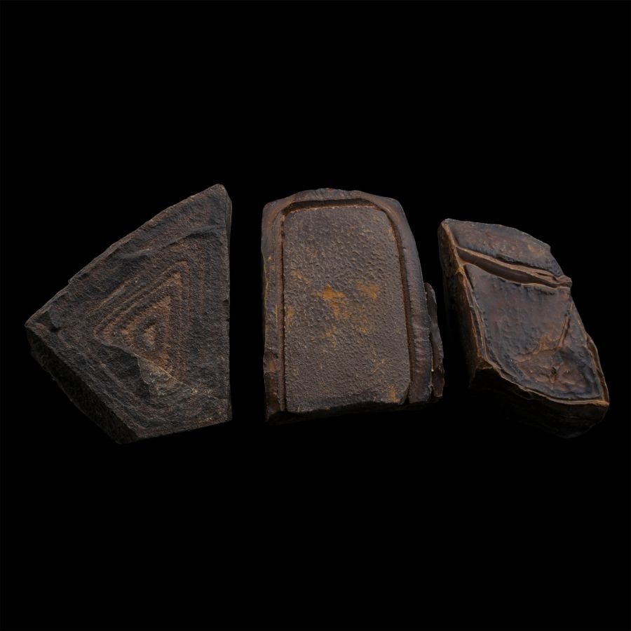 Fossil Mineral Mud Formation Specimen Group