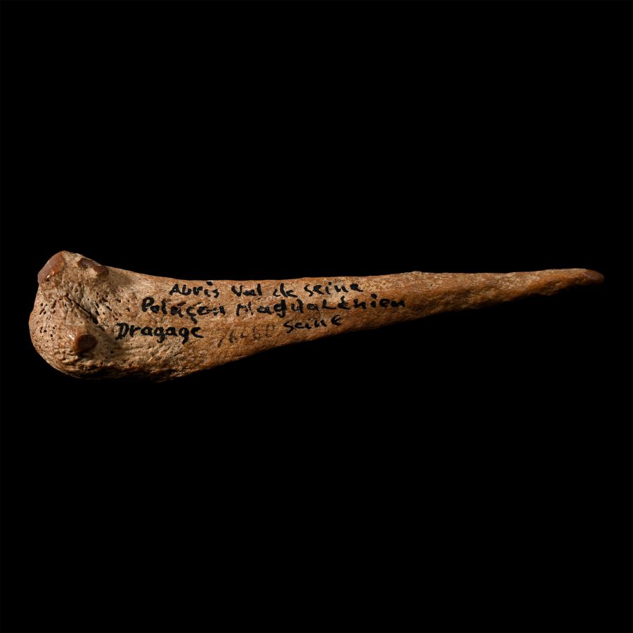 French Stone Age Magdalenian Bone Awl