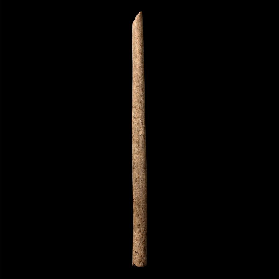 French Stone Age Magdalenian Bone Needle