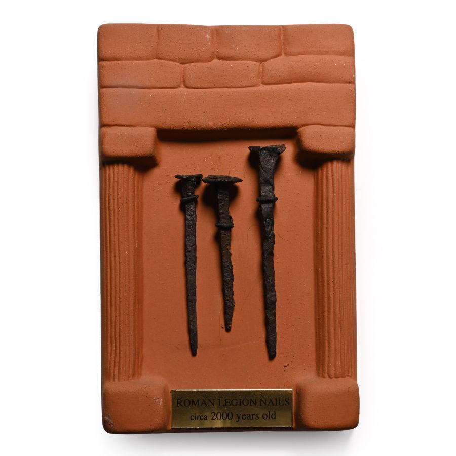 Romano-Scottish Legion XX Valeria Victrix 'Inchtuthil Fort' Boxed Educational Roman Iron Nail Hoard Display