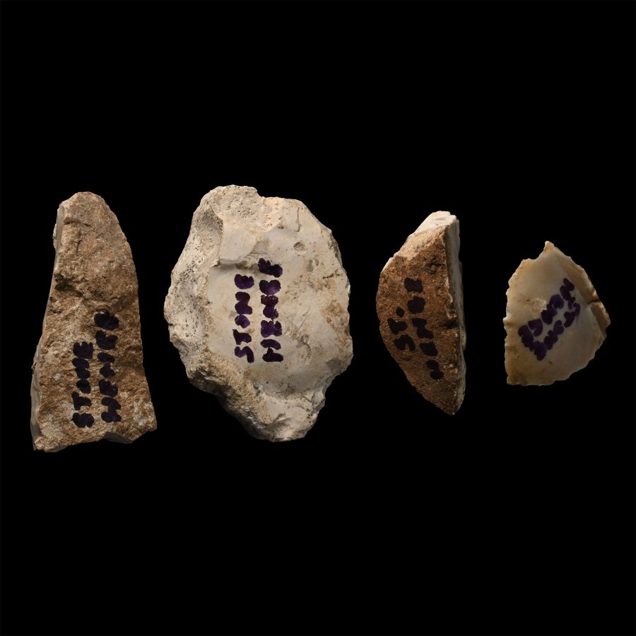 Stonehenge Knapped Flint Tool Group