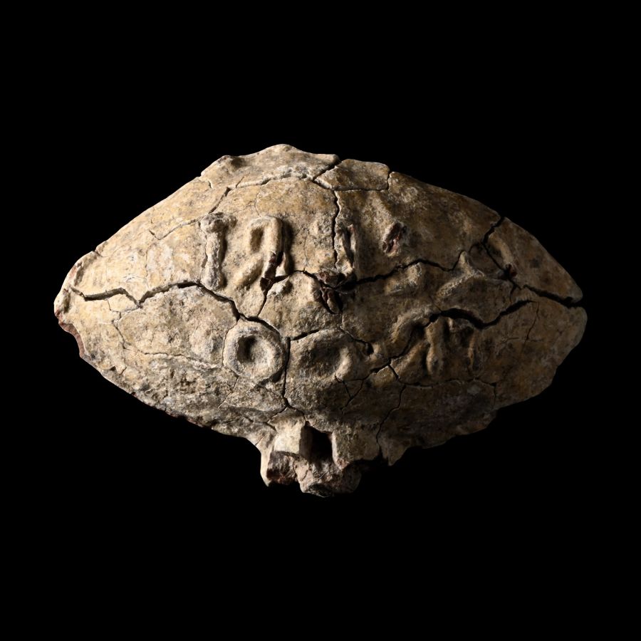 Roman Lead Slingshot of Quintus Sertorius