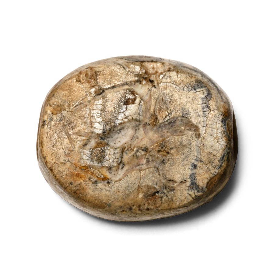 Eastern Greek Variated Agate Scaraboid Gemstone with Birds