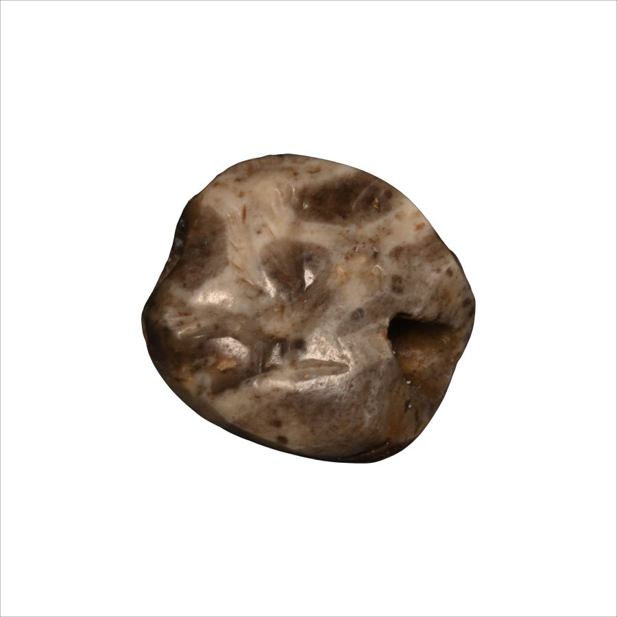 Phoenician Marbled Grey Stone Scarab with Bird