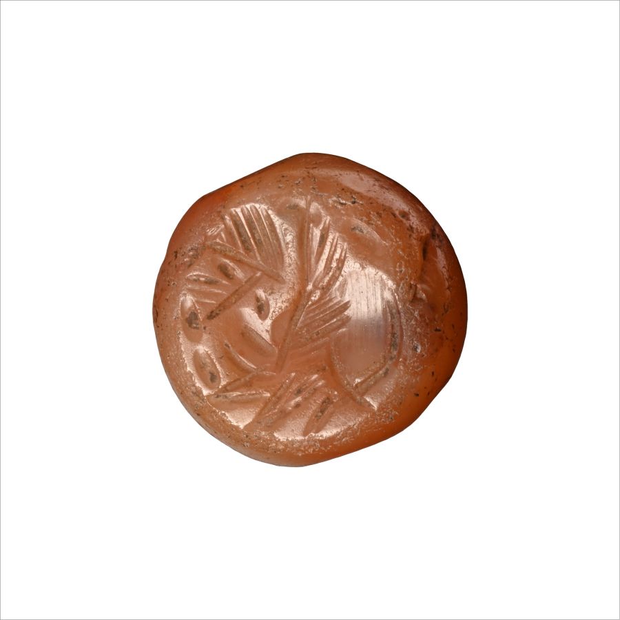 Sasanian Carnelian Stamp Seal with Gryphon