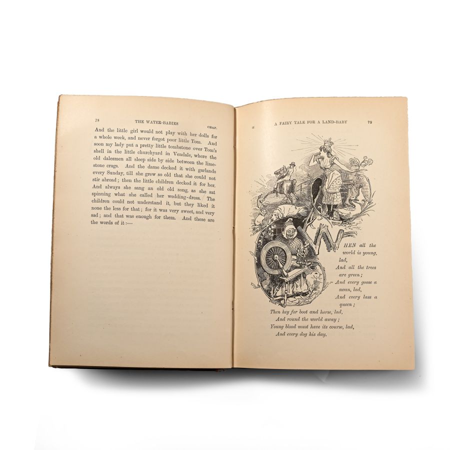 Water Babies by Charles Kingsley