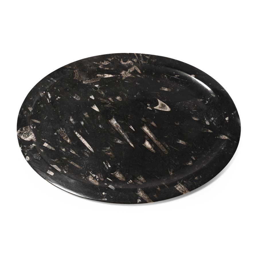 Large Polished Orthoceras Fossil Oval Platter