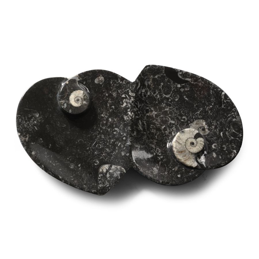 Polished Goniatite and Orthoceras Fossil Double Heart-Shaped Bowl