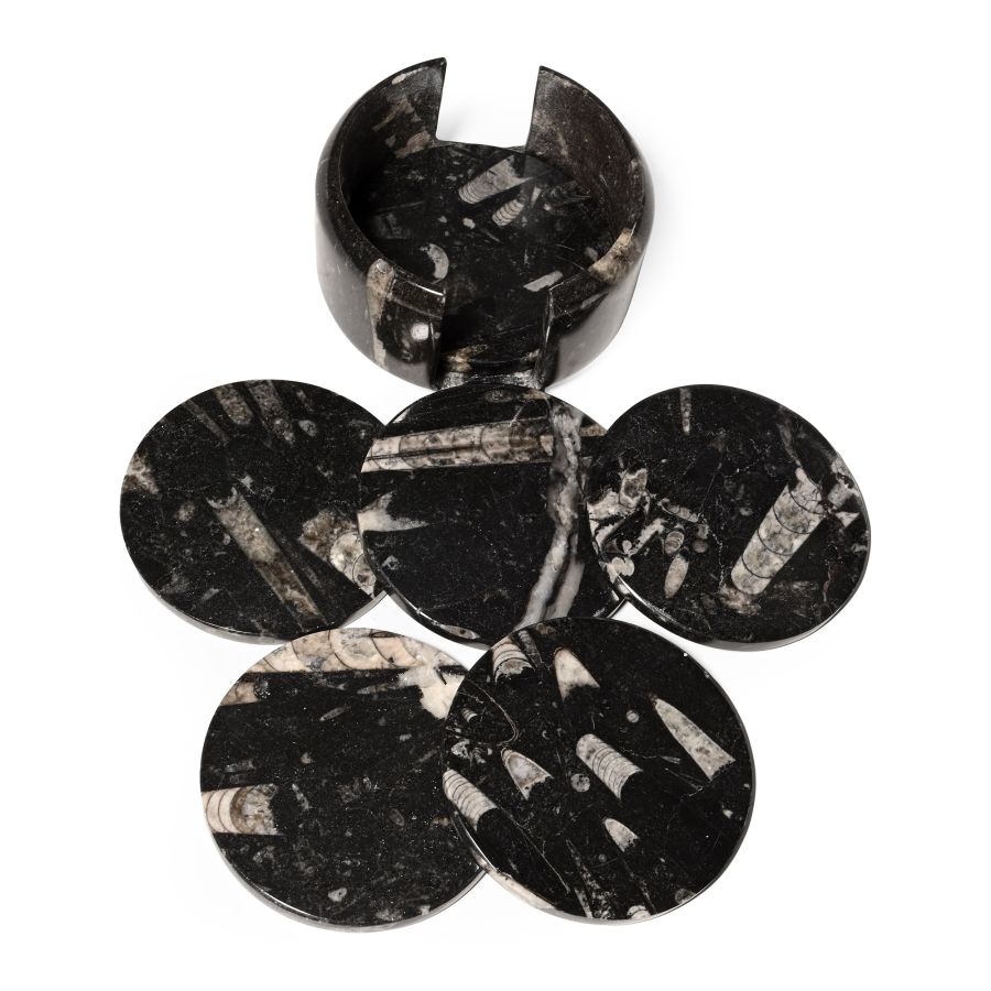 Polished Orthoceras Fossil Coaster Set