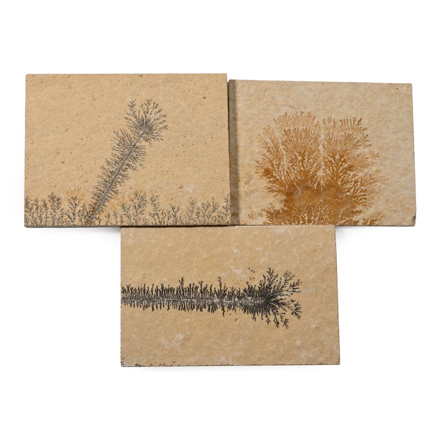 Manganese Dendrite Landscape Plaque Group