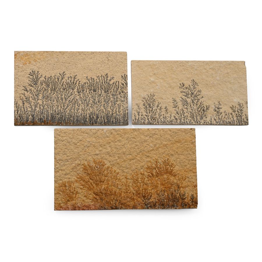 Manganese Dendrite Landscape Plaque Group