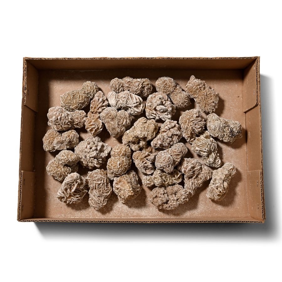 Box of Twenty-Seven [27] Desert Rose Specimens