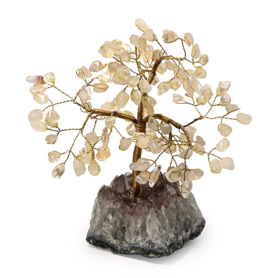 Quartz Gem Tree on Amethyst Crystal Geode Section