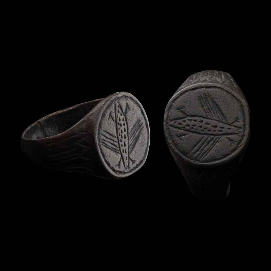 Migration Period Bronze Ring with Insect