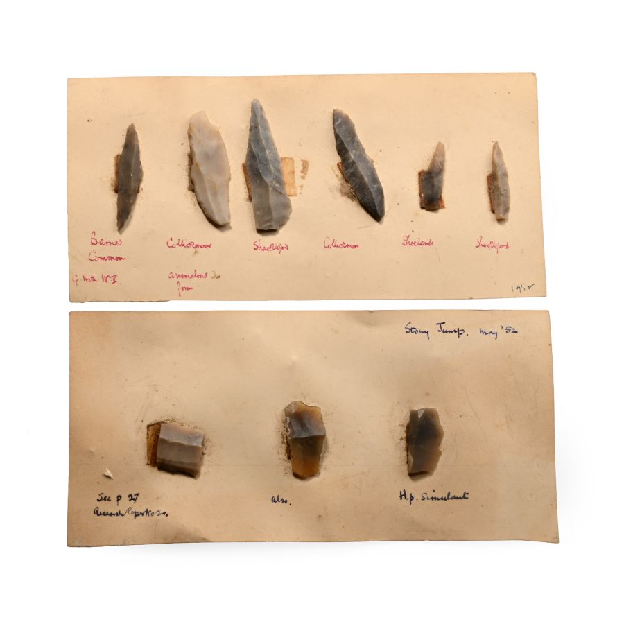 Farnham Stone Age Knapped Blade Group