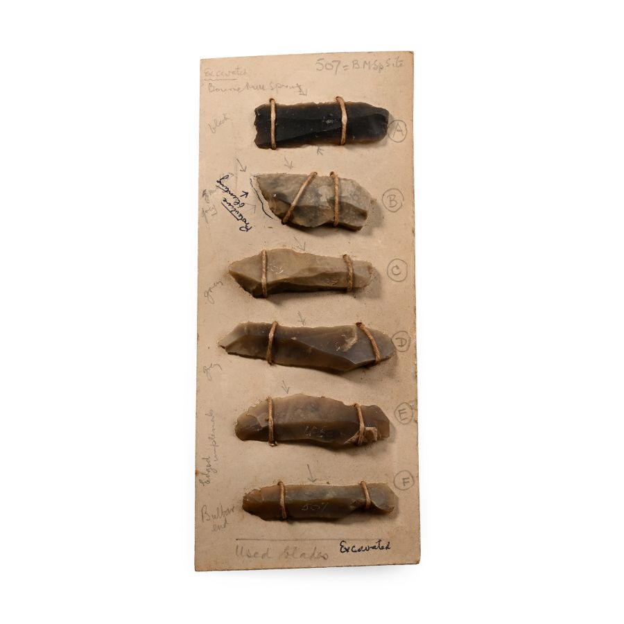 Farnham Stone Age Knapped Knife Blade Group