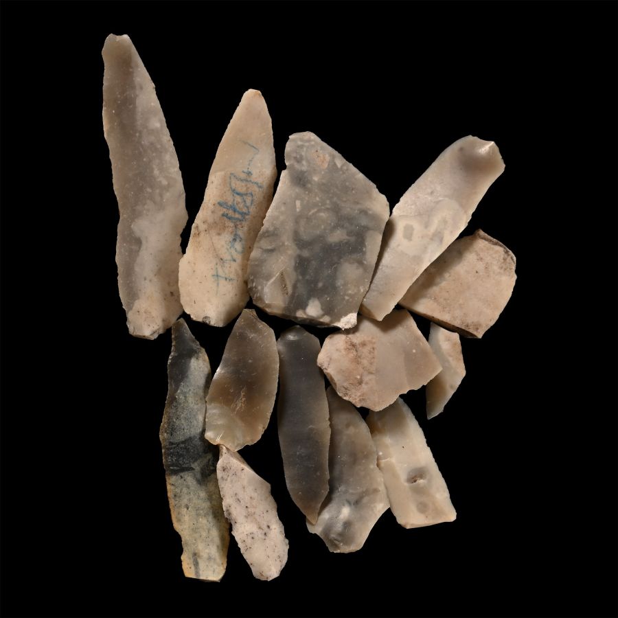 Farnham Stone Age Knapped Blade Group
