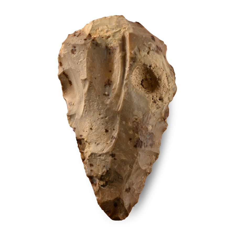 African Stone Age Homo Erectus Knapped Handaxe