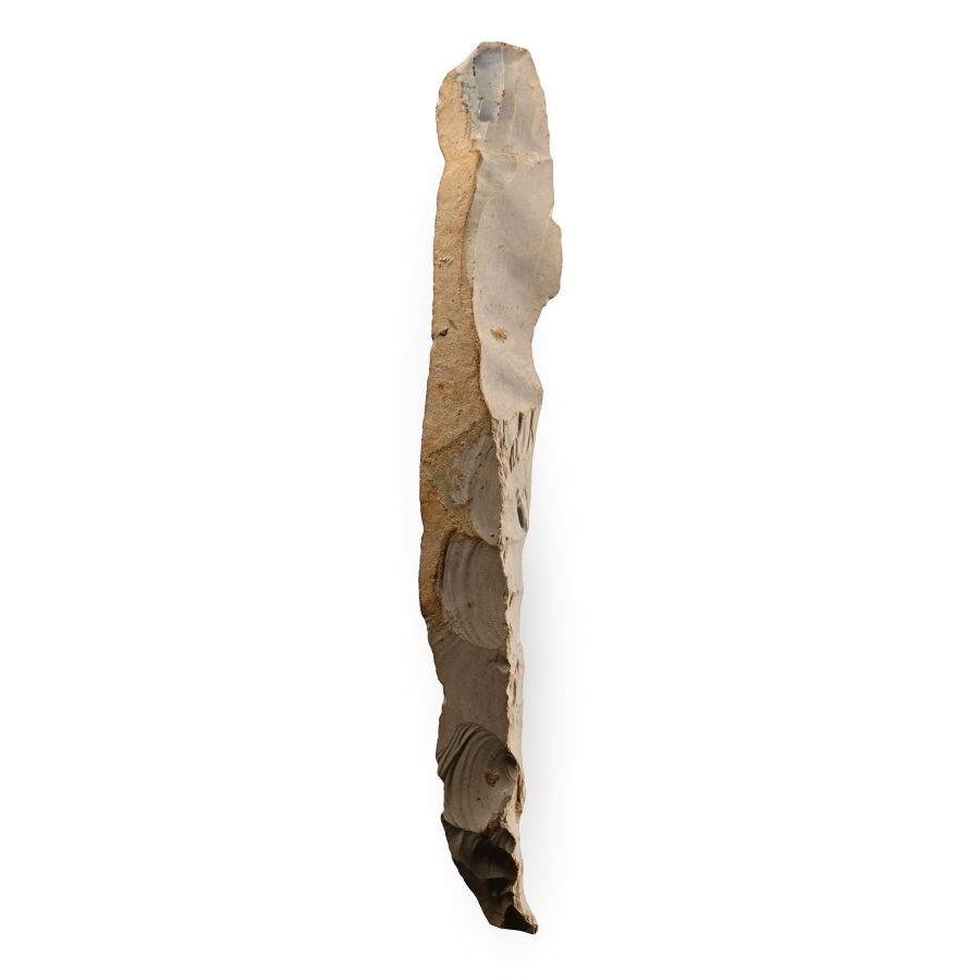 Very Large Spiennies Stone Age Long Knapped Flint Blade
