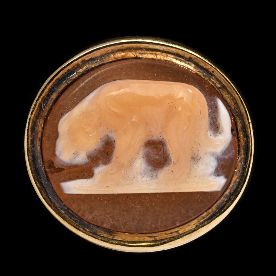 Renaissance Agate Cameo with Lioness in Gold Ring