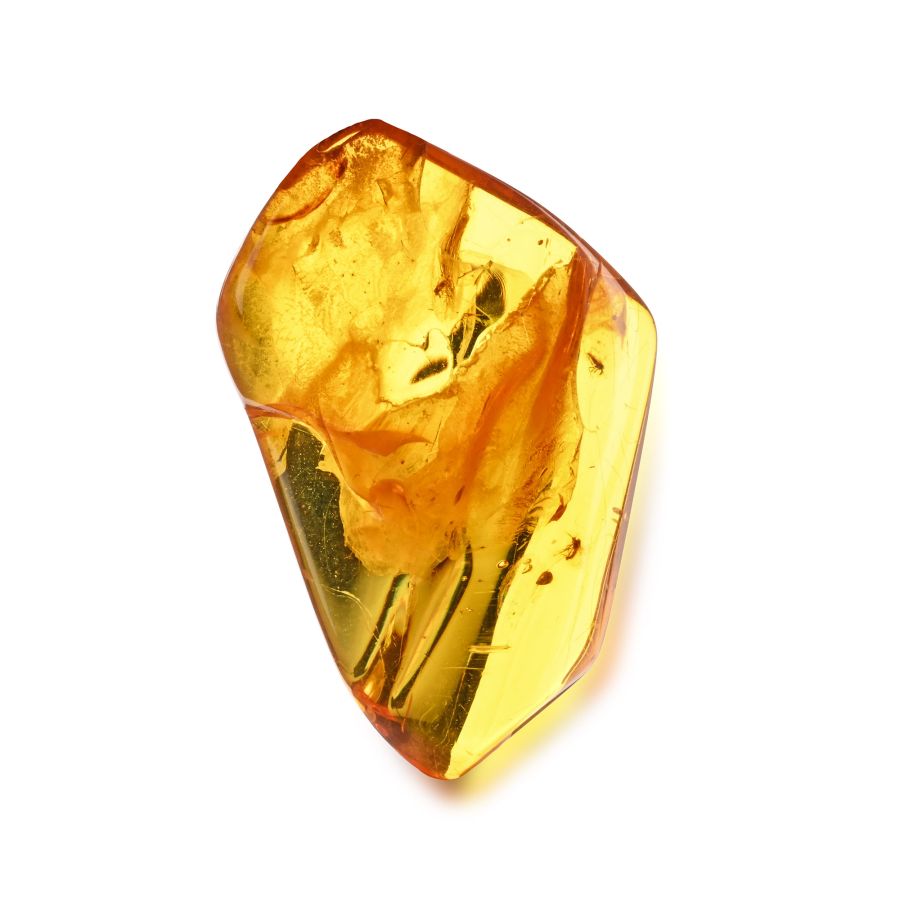 Polished Amber with Midges