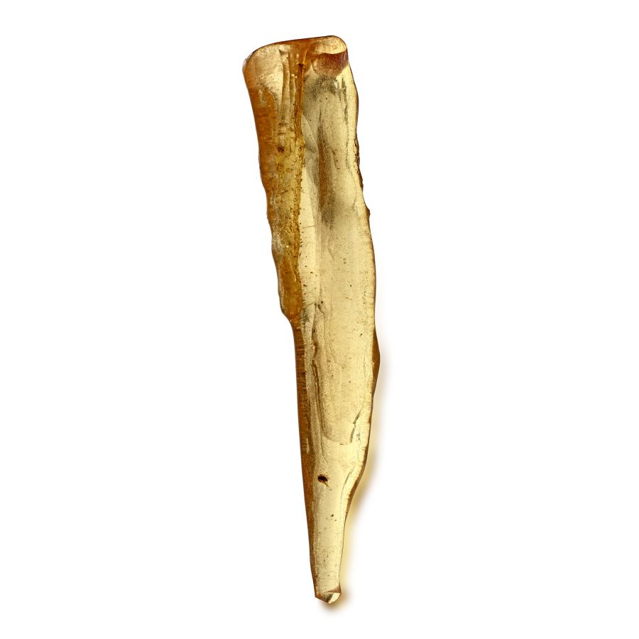 Polished Copal 'Spike' with Insects