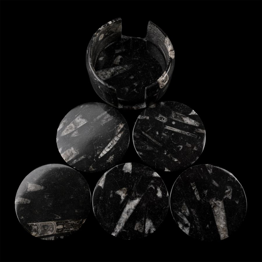 Polished Fossil Orthoceras Coaster Set