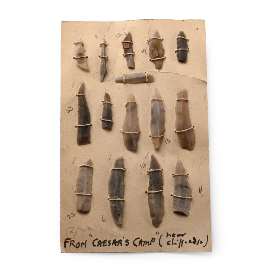 Farnham Stone Age Flint Blade Group