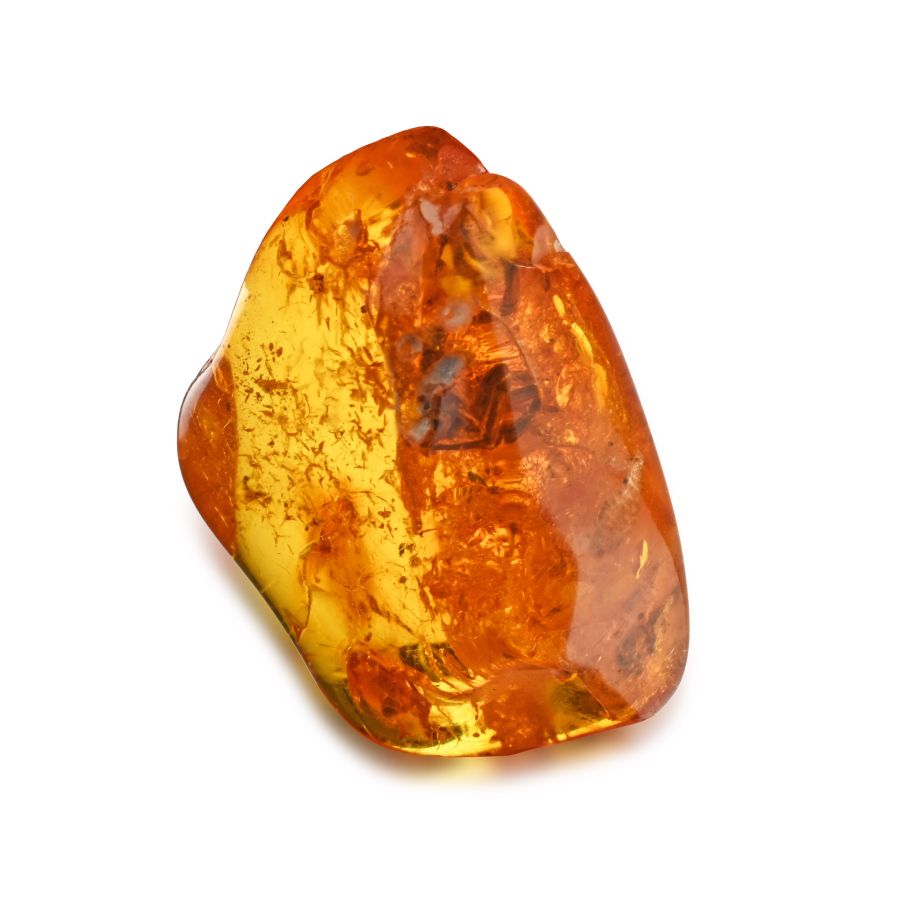Polished Baltic Amber with Spider and a Fly