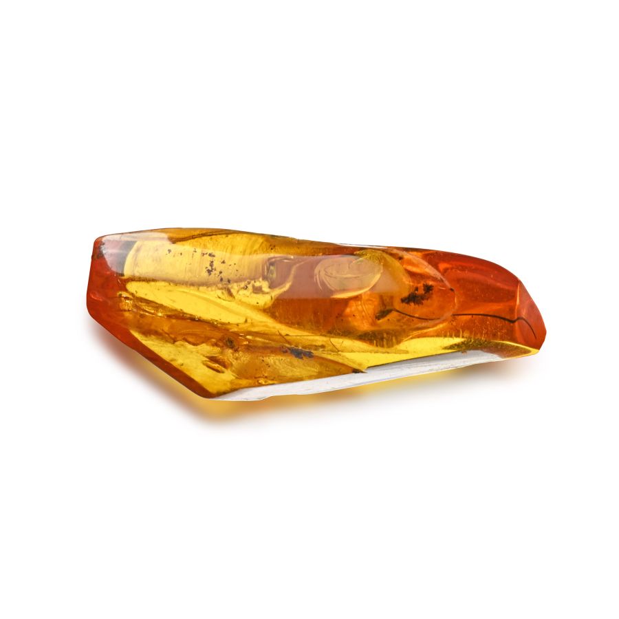 Polished Baltic Amber with an Insect and Other Inclusions