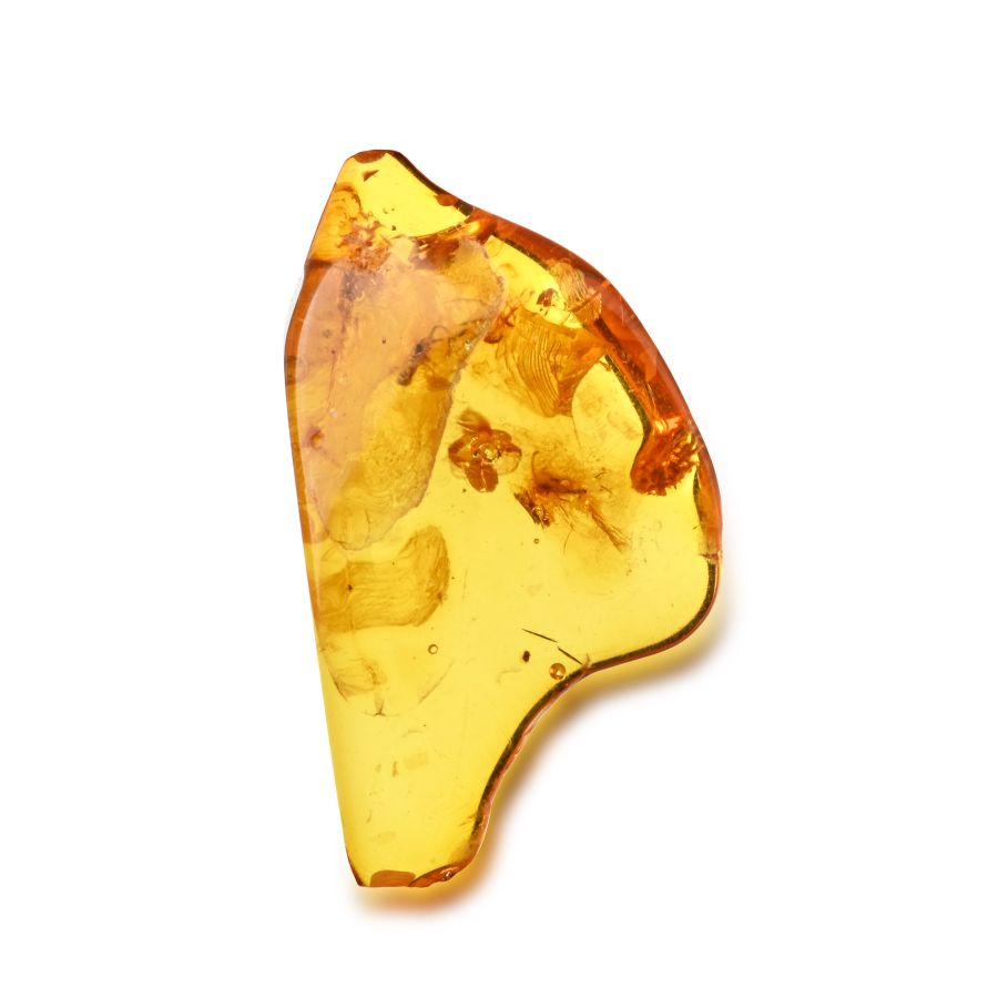 Polished Baltic Amber with Insect