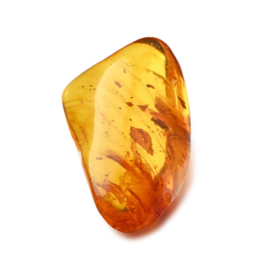 Polished Baltic Amber with Insect and Other Inclusions