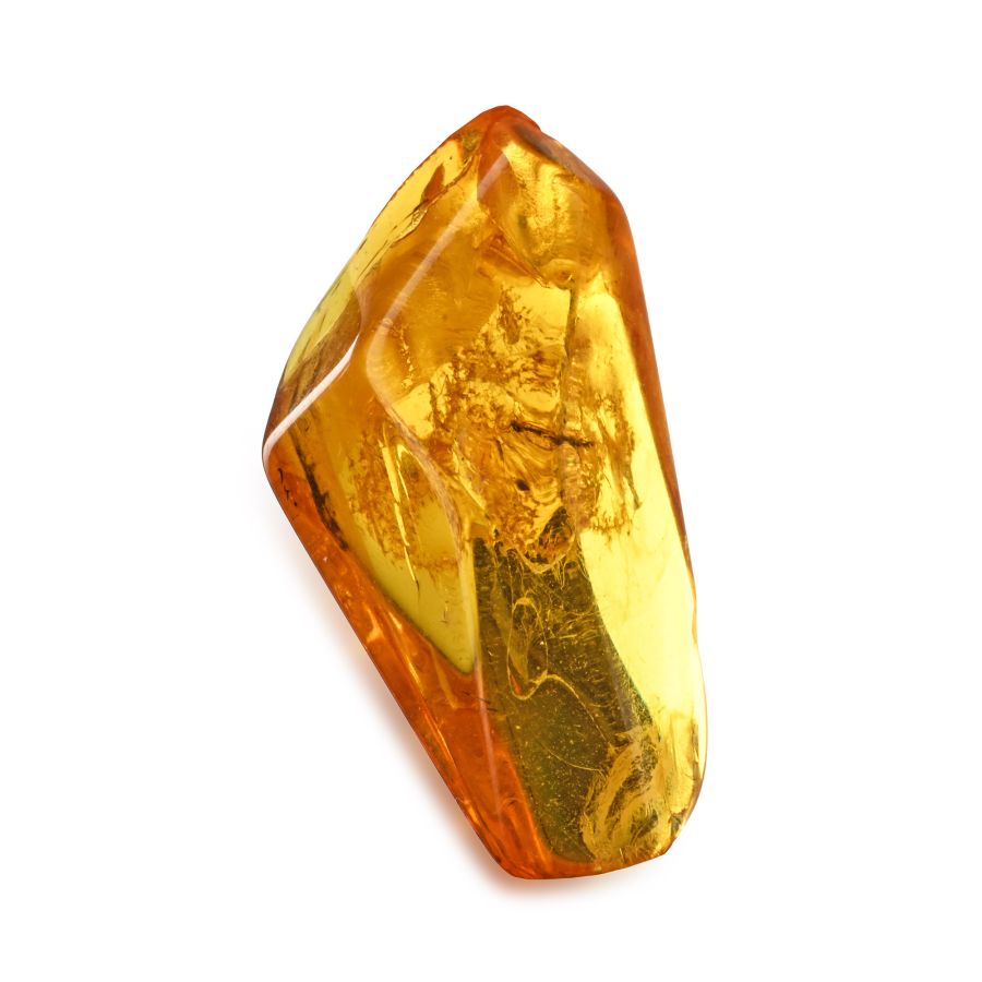 Polished Baltic Amber with Fly