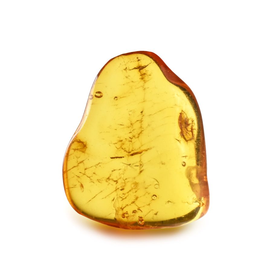 Polished Baltic Amber with Fly
