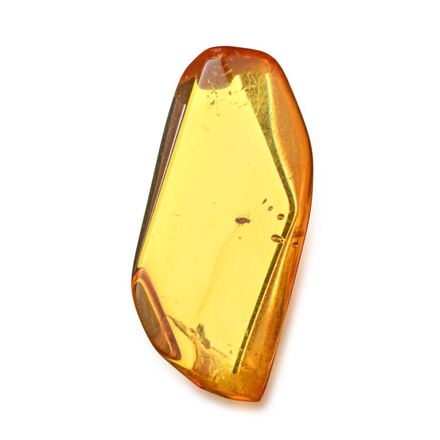 Polished Baltic Amber with Midge