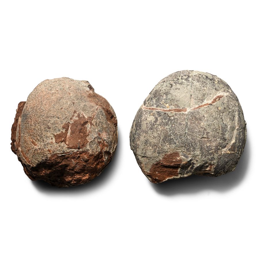 Fossil Hadrosaur Egg Pair
