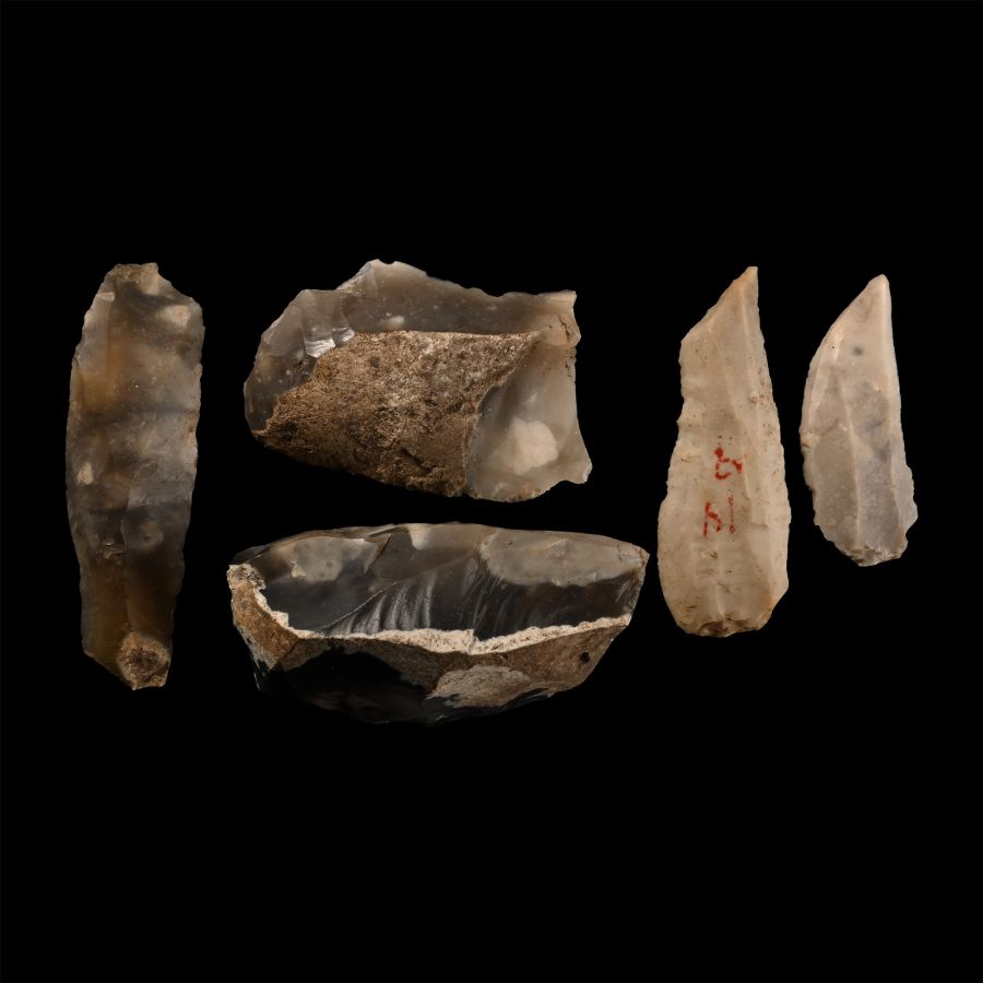 Farnham Capel Field Stone Age Knapped Flint Tool Collection