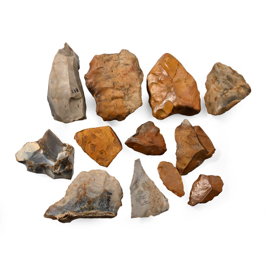 Stone Age Flint Core and Tool Collection