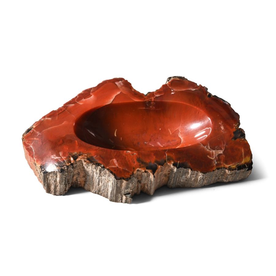 Polished Fossilised Wood Trinket Dish