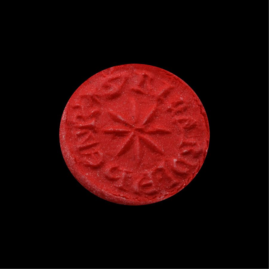 Medieval Lead Seal Matrix of Richard Son of Henry